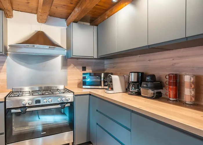 2alpeschalets - Marie 1 - Standing Et Sauna Au Pieds Des Pistes Tatil Evi Les Deux Alpes