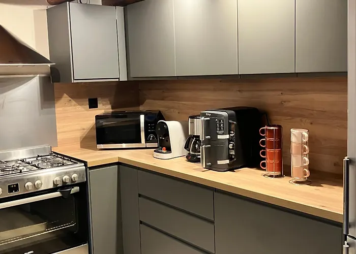 2alpeschalets - Marie 1 - Standing Et Sauna Au Pieds Des Pistes Tatil Evi *